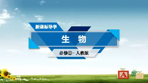 高一生物人教版必修一课件：第3章 第1节 细胞膜——系统的边界