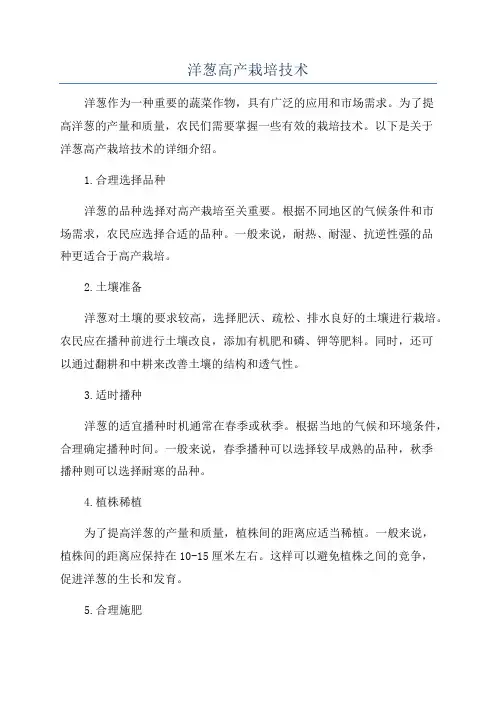 洋葱高产栽培技术
