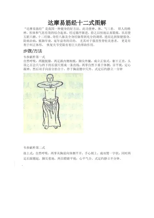 达摩易筋经十二式图解