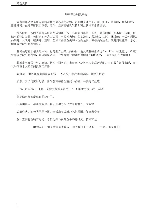 鲸和其他哺乳动物
