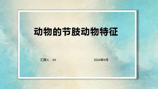 动物的节肢动物特征