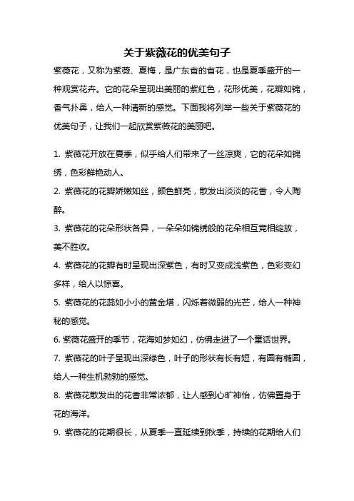 关于紫薇花的优美句子