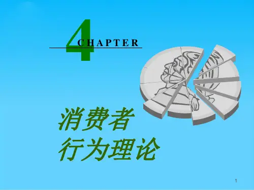 消费者行为理论分析(ppt 62页)