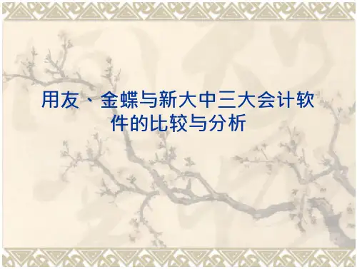 用友、金蝶和新大中