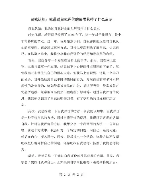 自我认知：我通过自我评价的反思获得了什么启示