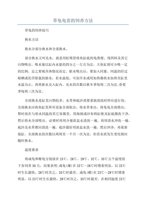 草龟龟苗的饲养方法