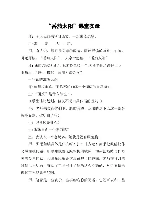 “番茄太阳”课堂实录_教案教学设计