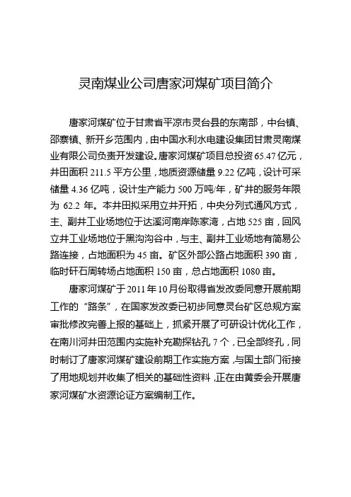 唐家河煤矿简介