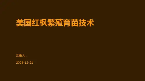 美国红枫繁殖育苗技术