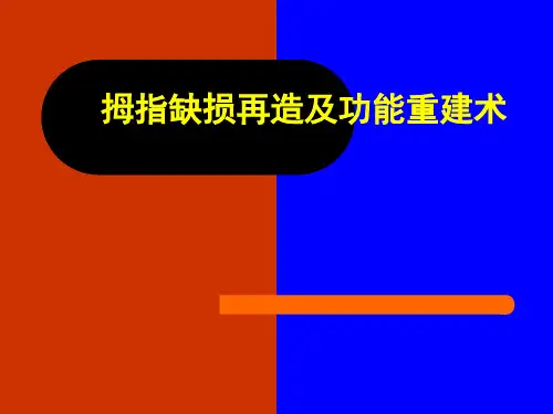 拇指缺损再造及功能重建课件
