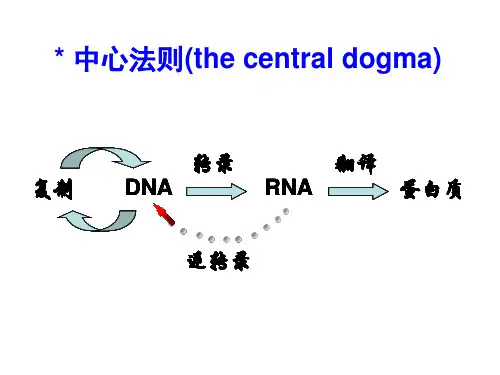 遗传信息传递1.ppt