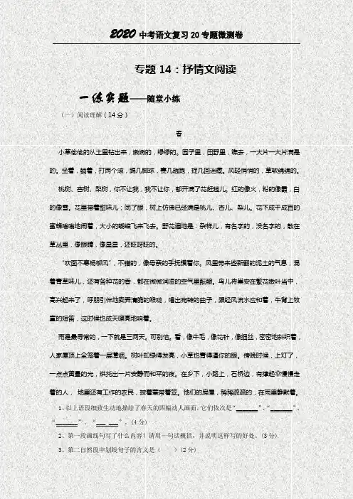 2020中考语文专题复习微测一卷14抒情文阅读(原卷版)