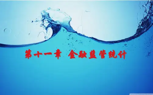 《金融统计学》第十一章 金融监管统计PPT资料75页
