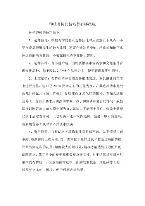 种植杏树的技巧都有哪些呢