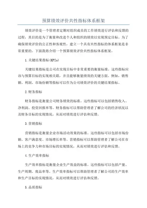 预算绩效评价共性指标体系框架