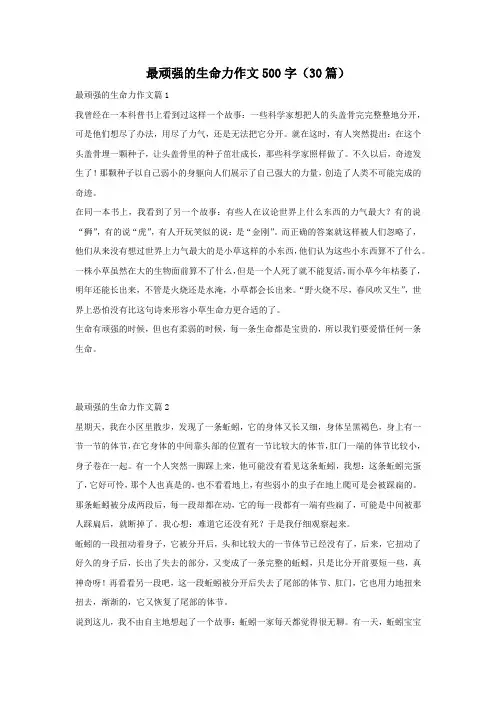 最顽强的生命力作文500字(30篇)