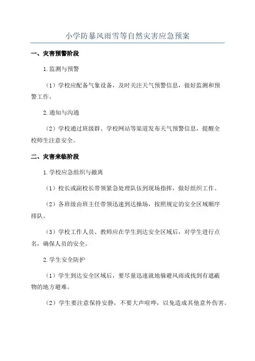 小学防暴风雨雪等自然灾害应急预案