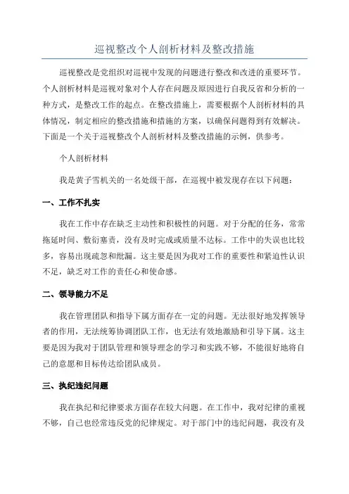 巡视整改个人剖析材料及整改措施