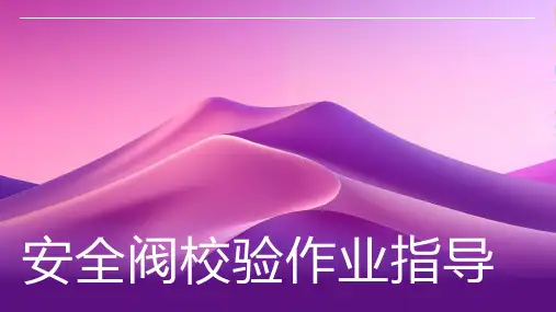 安全阀校验作业指导