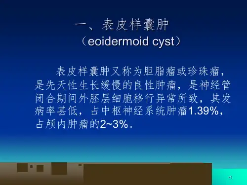 表皮样囊肿和皮样囊肿的影像学鉴别诊断PPT课件
