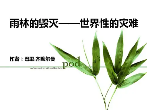 《雨林的毁灭——世界性灾难》3精品 课件 