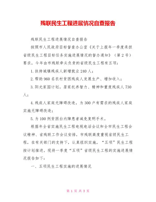 残联民生工程进展情况自查报告