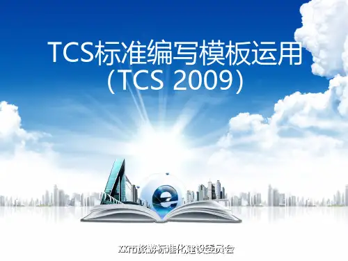 TCS标准编写模板运用