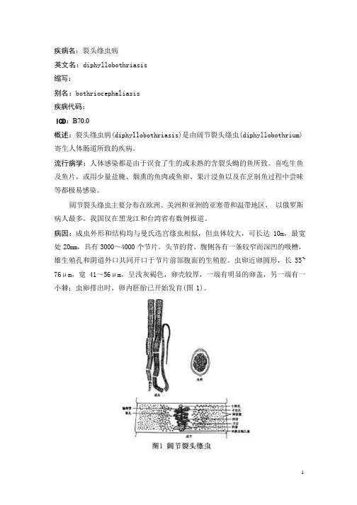 裂头绦虫病疾病详解