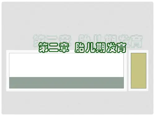 人体发育学02胎儿期