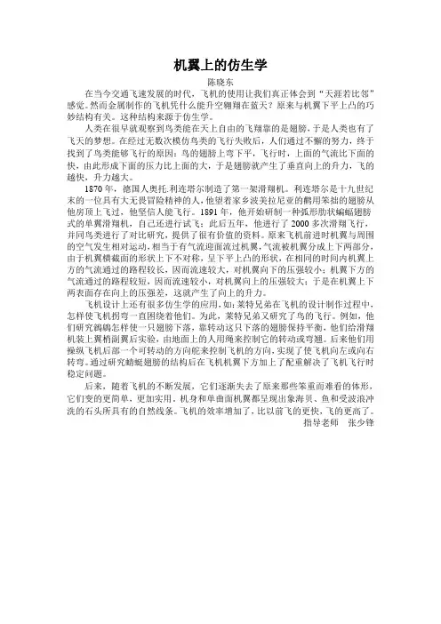 机翼上的仿生学