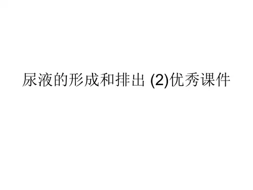 尿液的形成和排出 (2)优秀课件