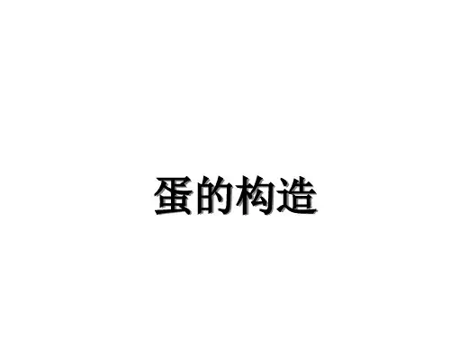 (禽生产学课件)蛋的构造