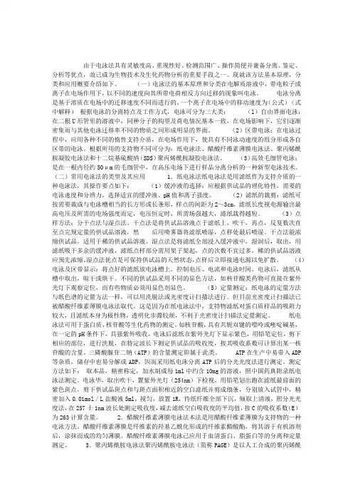 药物分析：常用定量分析法与应用——电泳法