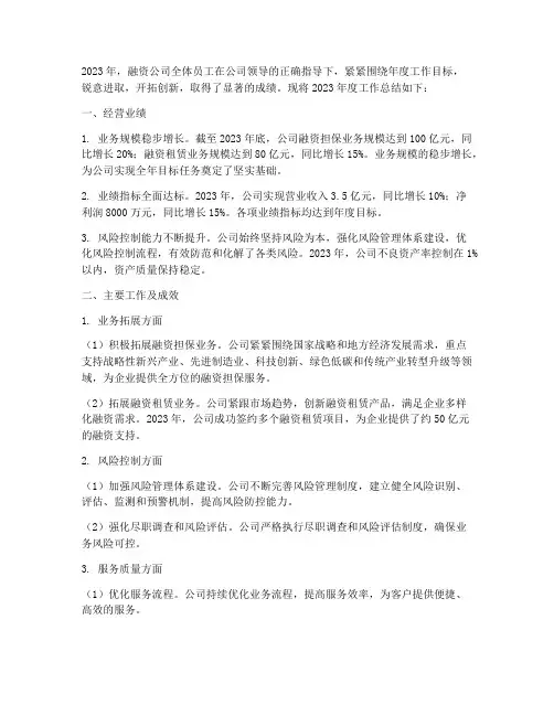 融资公司年度总结