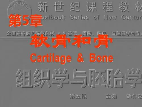 组织学与胚胎学之软骨与骨