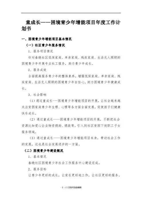 童成长-困境青少年增能项目年度工作计划书