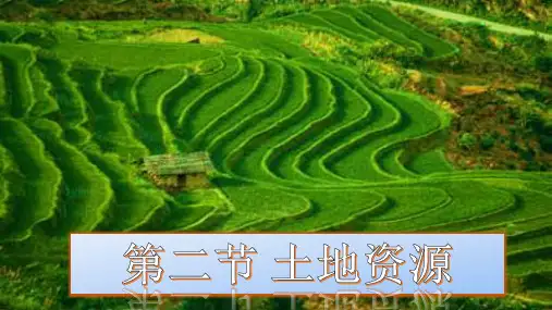 第二节 土地资源18张ppt课件