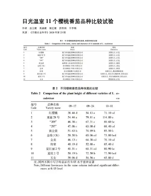 日光温室11个樱桃番茄品种比较试验