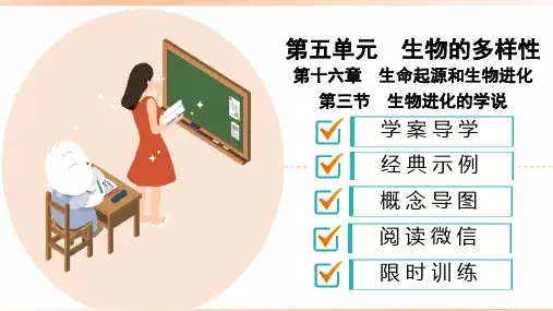 苏教版八年级生物上册《生物进化的学说》精品复习(课件)