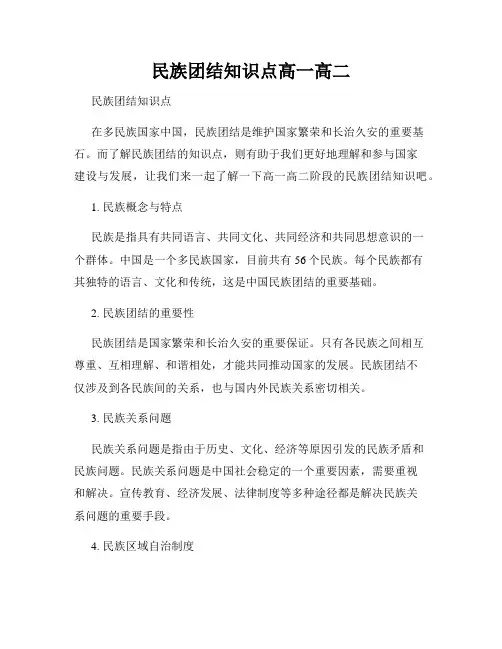 民族团结知识点高一高二