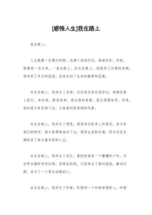 [感悟人生]我在路上