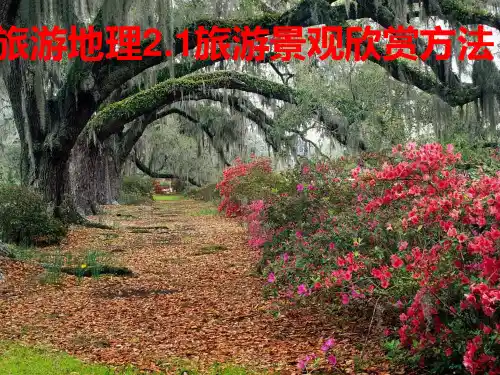 旅游景观欣赏方法全面版PPT课件