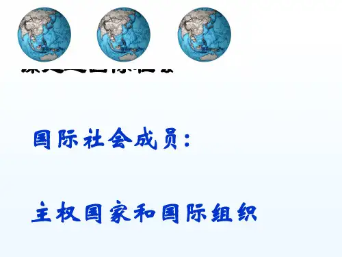 第八课 走近国际社会PPT课件