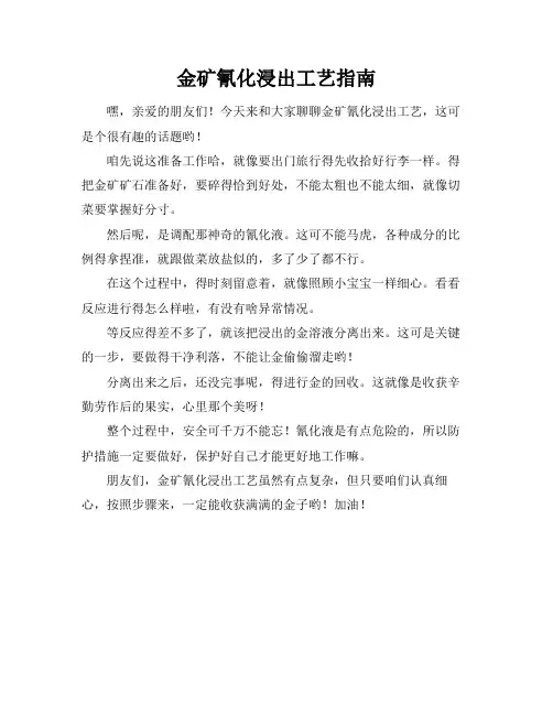 金矿氰化浸出工艺指南