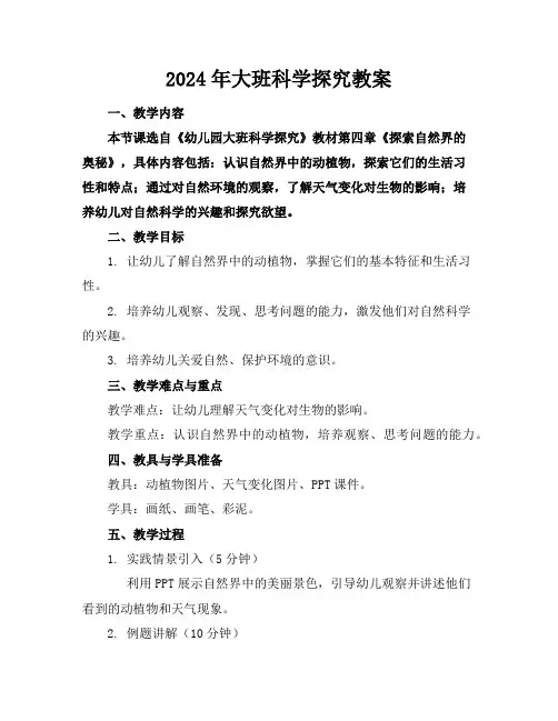 2024年大班科学探究教案