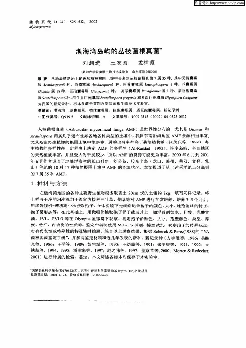 渤海湾岛屿的丛枝菌根真菌