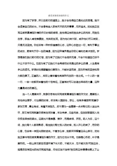 感受真情祖孙情的作文