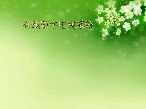 有线数字电视系统优秀课件
