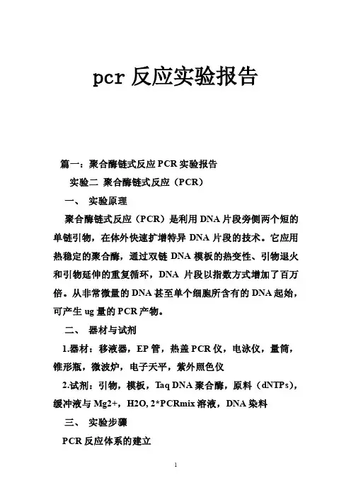 pcr反应实验报告