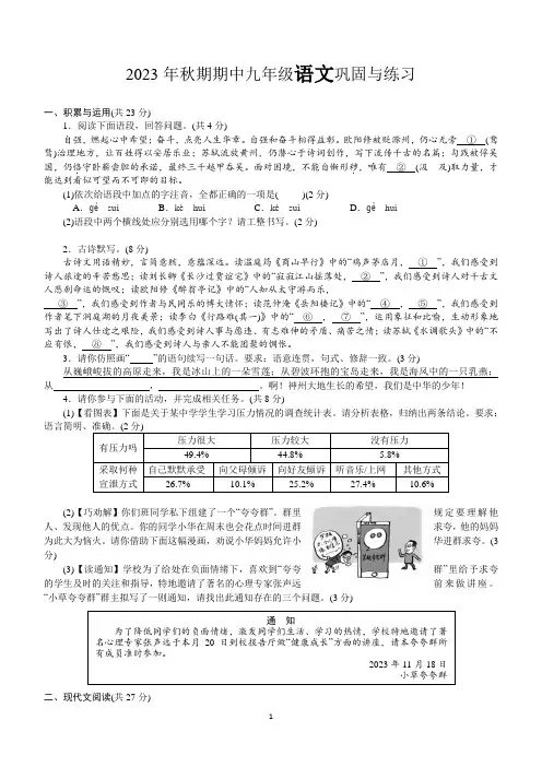 河南省南阳市内乡县2023-2024学年九年级上学期期中巩固与练习语文试题(含答案)